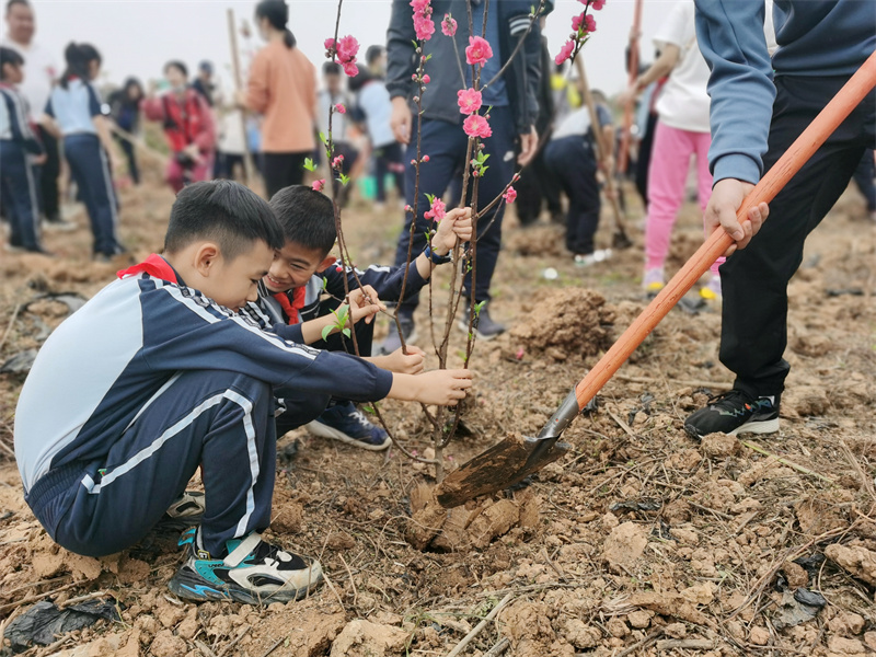 乡村大世界“千人植树”活动-2（罗婉秋）.jpg